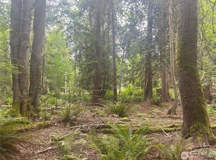 0 Black Point Ct, Brinnon, WA 98320
