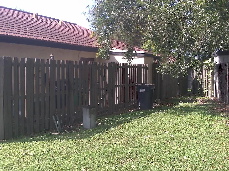 Back yard