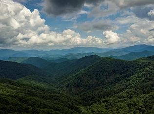 Little Buffalo Rd, Robbinsville, NC 28771