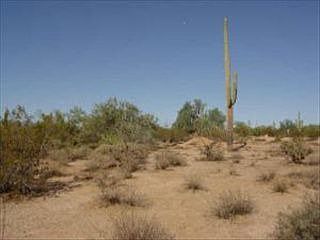 3rd image of 27684 N 71st Way