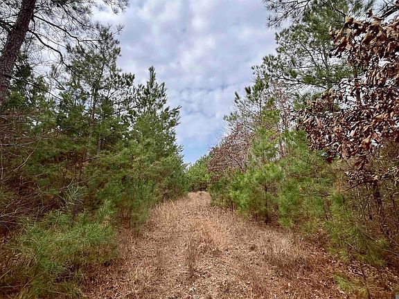 3rd image of 2 Arkansas Rd