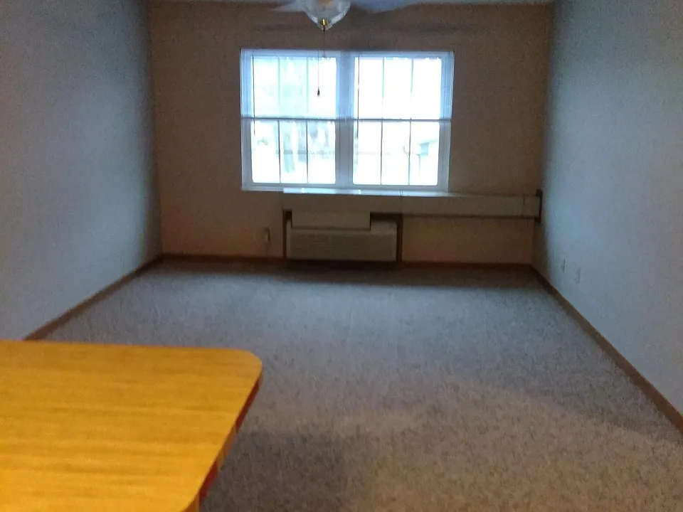 View from the kitchen
