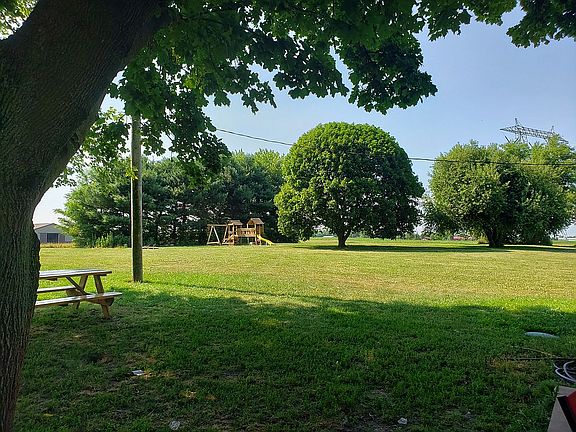 Back yard