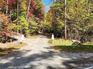 1441 Chestnut Gap Rd, Blue Ridge, GA 30513