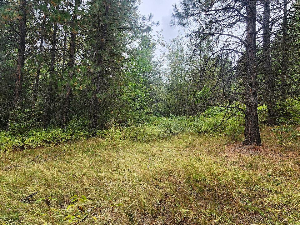 1st image of Smackout Creek Rd