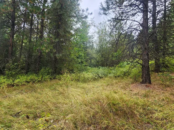Smackout Creek Rd, Colville, WA 99114