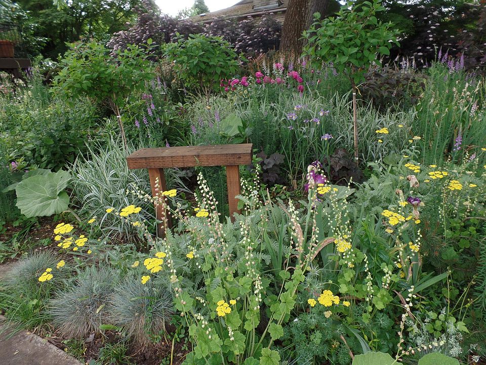 FY garden and bench