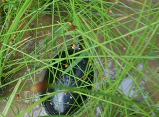 16216 Chardon Windsor Rd, Huntsburg, OH 44046