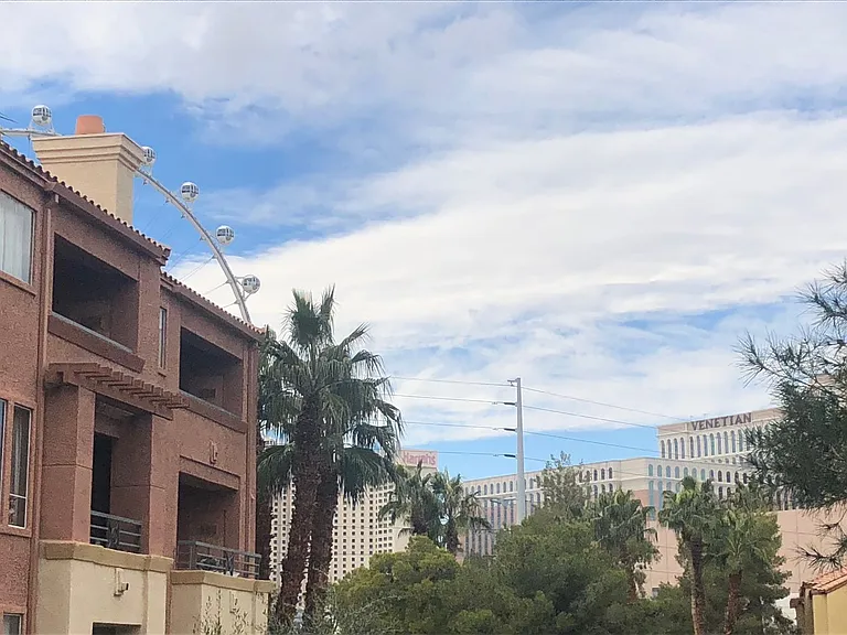 220 E Flamingo Rd #203 — Photo 14