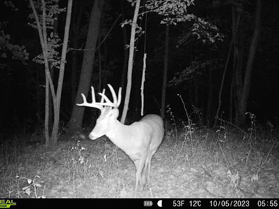 4th image of Lt0 COUNTY RD S