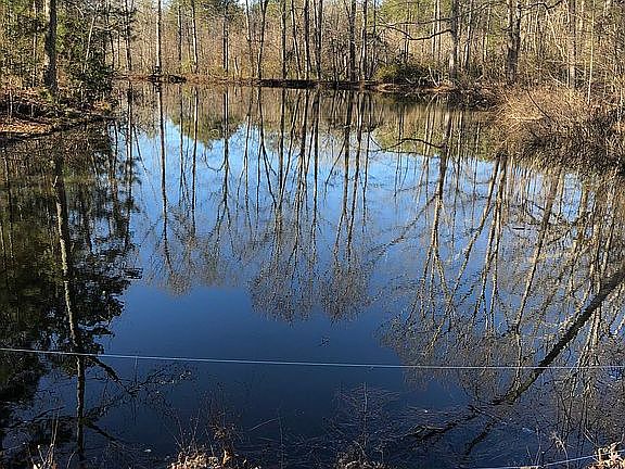 Enjoy the serenity!!!