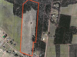 226-22.6 Willard Rd, Willard, NC 28478