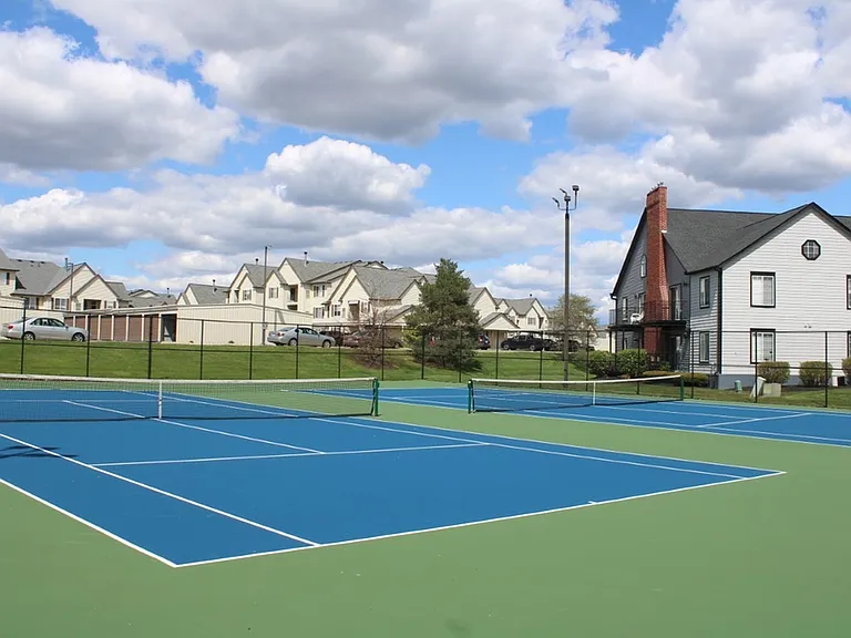 ReNew Ann Arbor — Photo 14