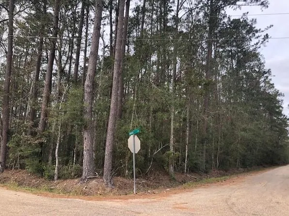 0 Tycer Ln, Tickfaw, LA 70466