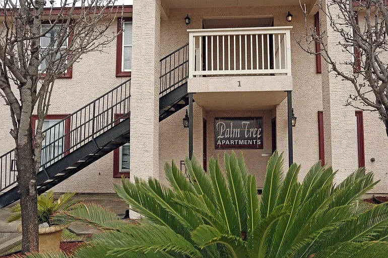 The Palm Tree Apartments — Photo 3