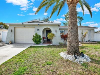 9511 Marlinton Ln, Port Richey, FL, 34668