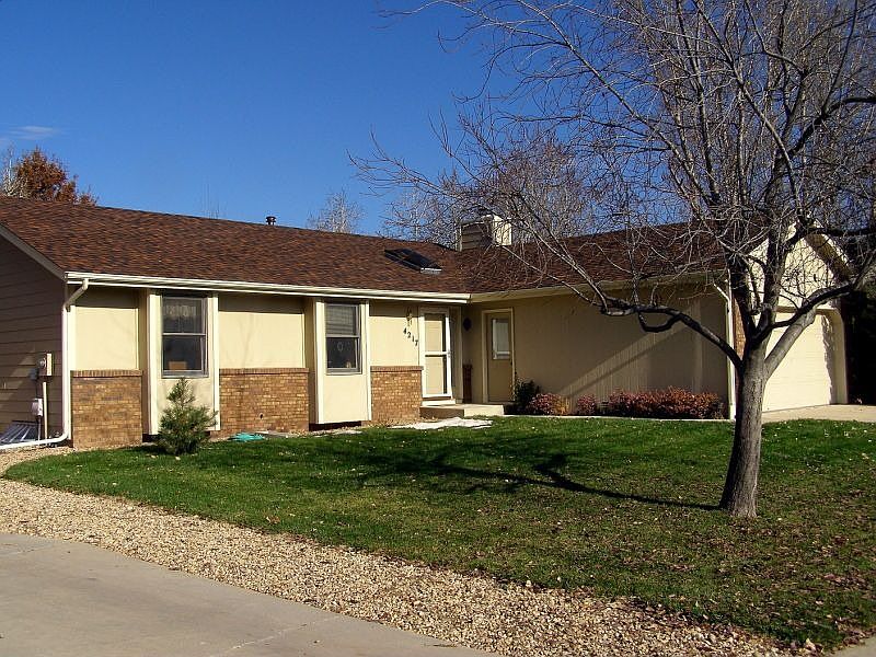 New shingles