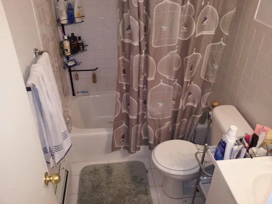 Rented by Alta Real Estate | media 89