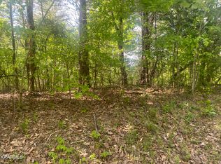 Goins Hill Rd, Ten Mile, TN 37880