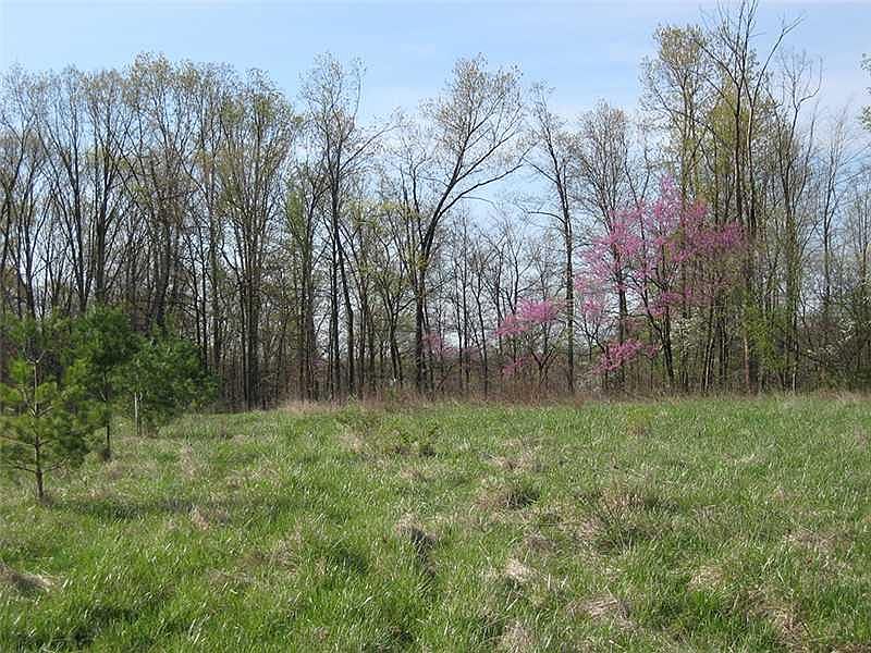 2nd image of LOT 1-1B Fish Rd