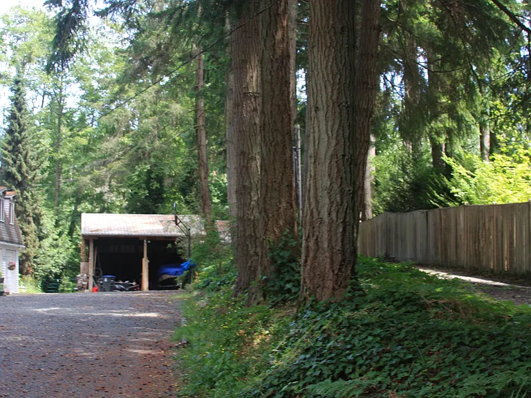 Loads of parking for guests