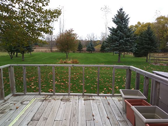 View of backyard