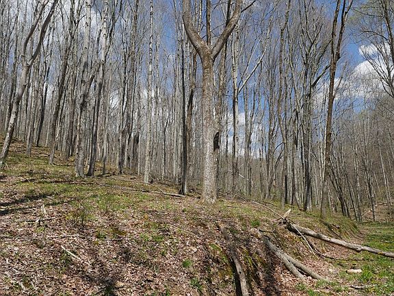 4th image of Unity Rd