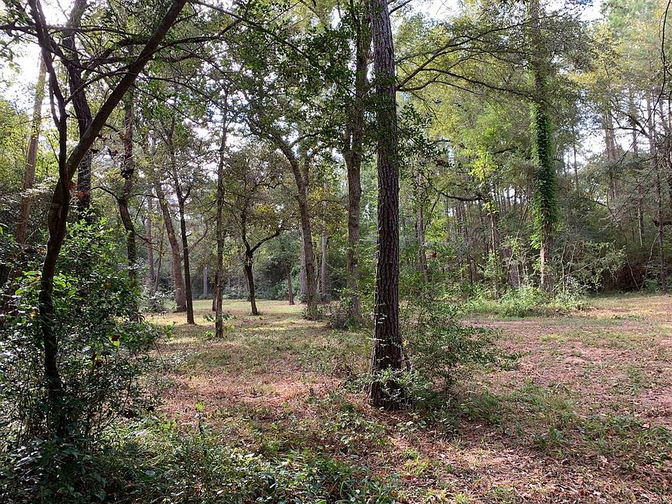 1st image of 32602 Dogwood Trl