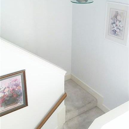 3rd image of 1516 Palisades Dr