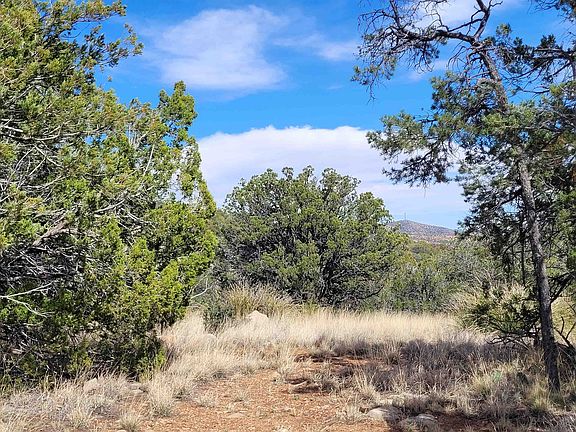 5th image of Xx Moon Shadow