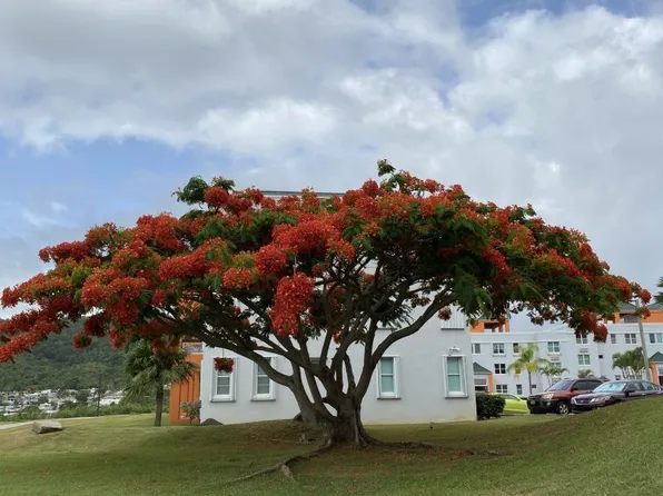 Cond La Loma Edif S 180 Carr APT S-202-194, Fajardo, PR 00738