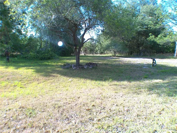Sequoia Drive Trce Lot 3, Ocklawaha, FL 32179