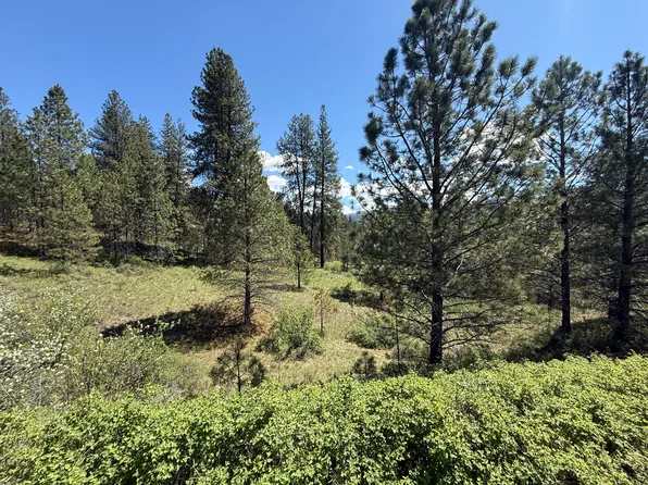 Tbd Fir Ln, Curlew, WA 99118