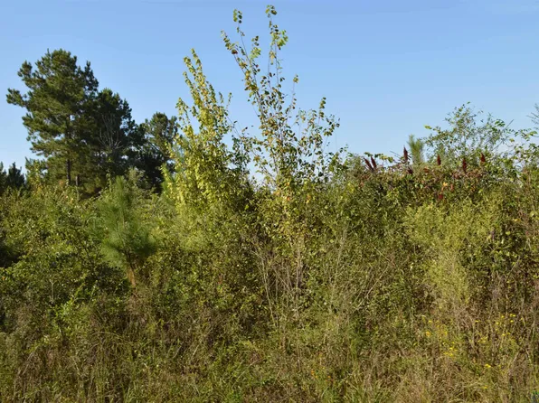 Lassater Rd, Jefferson, TX 75657