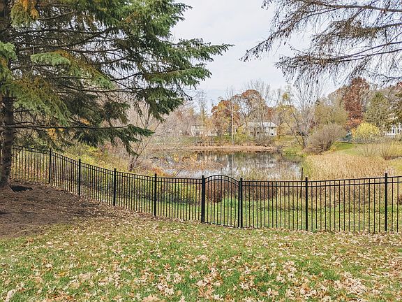 Beautiful backyard pond