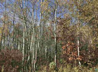 Xx Little Sand Creek Rd, Sandstone, MN 55072