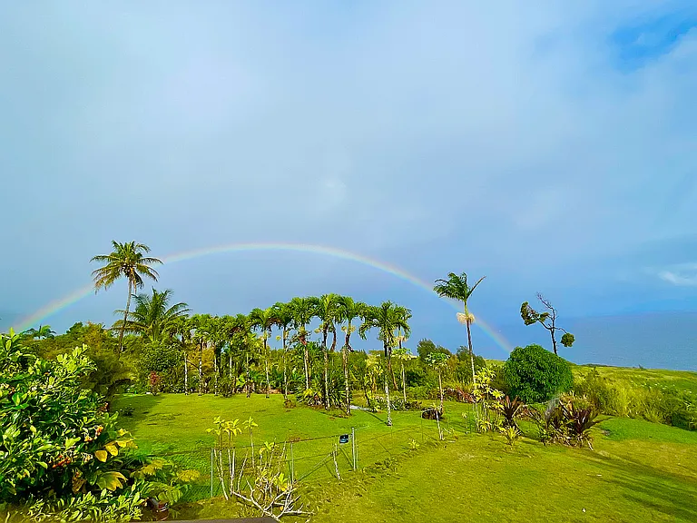 Kukuihaele Rd — Photo 17