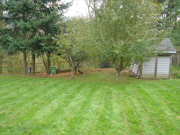 Garden area and shed