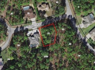 3 Eugenia Ct W, Homosassa, FL 34446