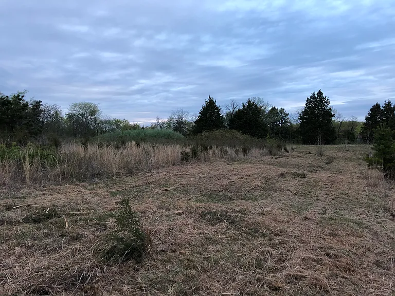 940 County Road 534 — Photo 8