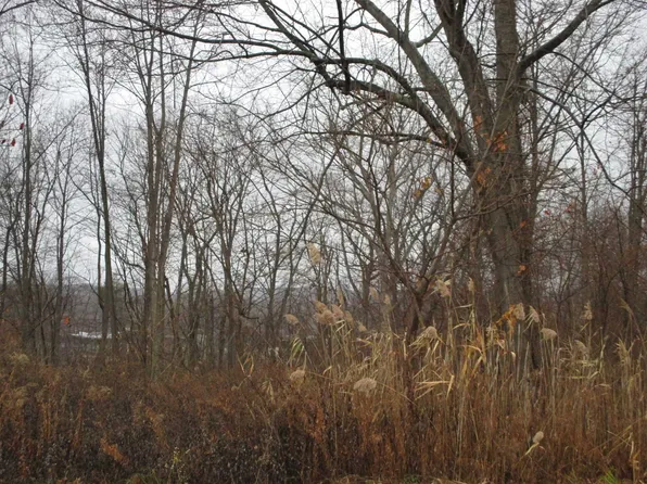 9 Huyler Dr, Hyde Park, NY 12538