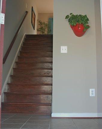 4th image of 9667 Cedar Farm Cir