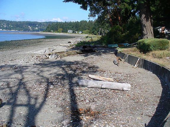 low tide view northwest