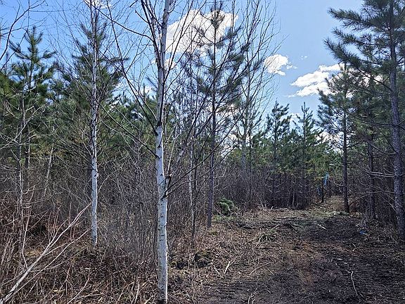 3rd image of 4 Prairie Lake Rd