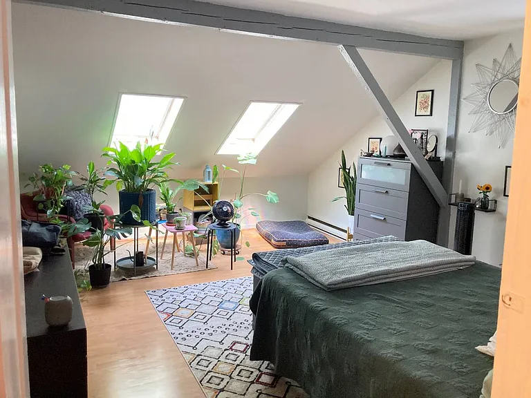 102 Mansfield St #3 — Photo 5