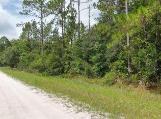 1954 Lemon St, Bunnell, FL 32110