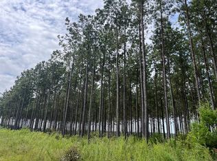 Pea Market Rd, Columbia, AL 36319