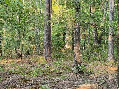 0 Alpine Rd, Star City, AR, 71667