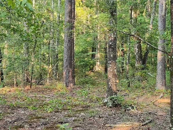 0 Alpine Rd, Star City, AR 71667