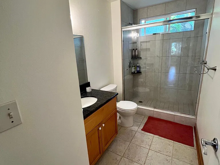 downstairs bathroom and standing shower